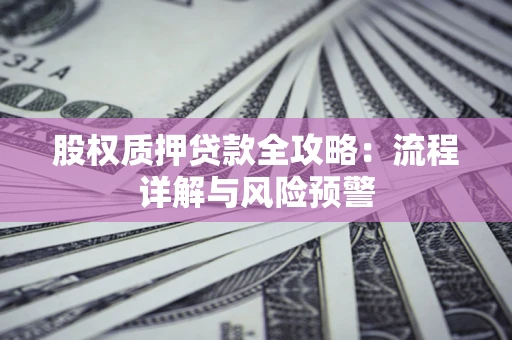 北京股权质押贷款全攻略：流程详解与风险预警