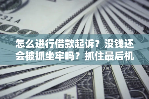 北京怎么进行借款起诉？没钱还会被抓坐牢吗？抓住最后机会！