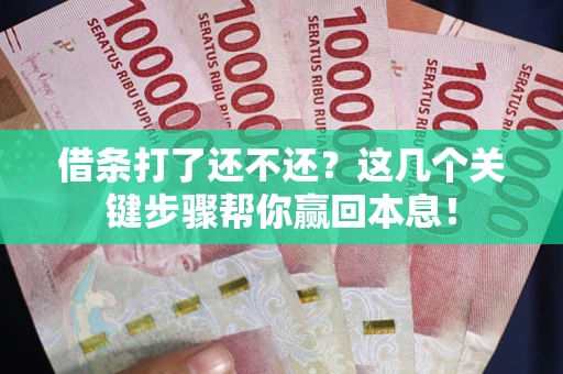 北京借条打了还不还？这几个关键步骤帮你赢回本息！