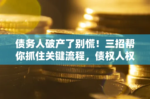 北京债务人破产了别慌！三招帮你抓住关键流程，债权人权益不再缩水