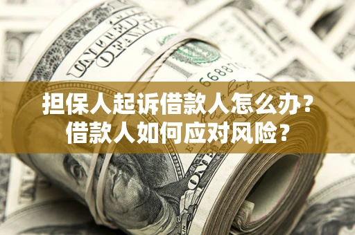 北京担保人起诉借款人怎么办？借款人如何应对风险？