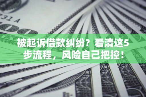 北京被起诉借款纠纷？看清这5步流程，风险自己把控！